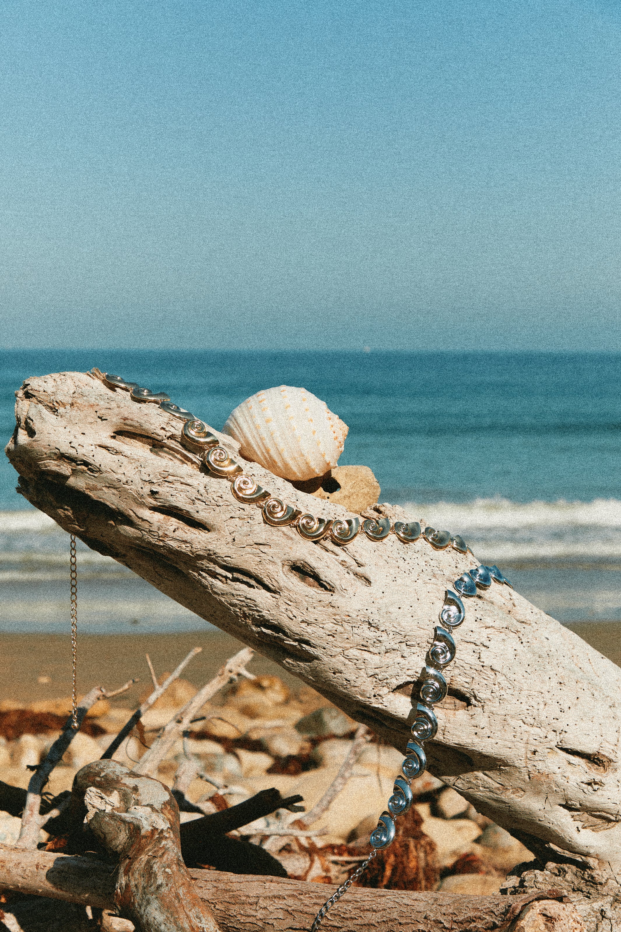 Leilani Sea Shell Chain Belt - Gold - Image 8