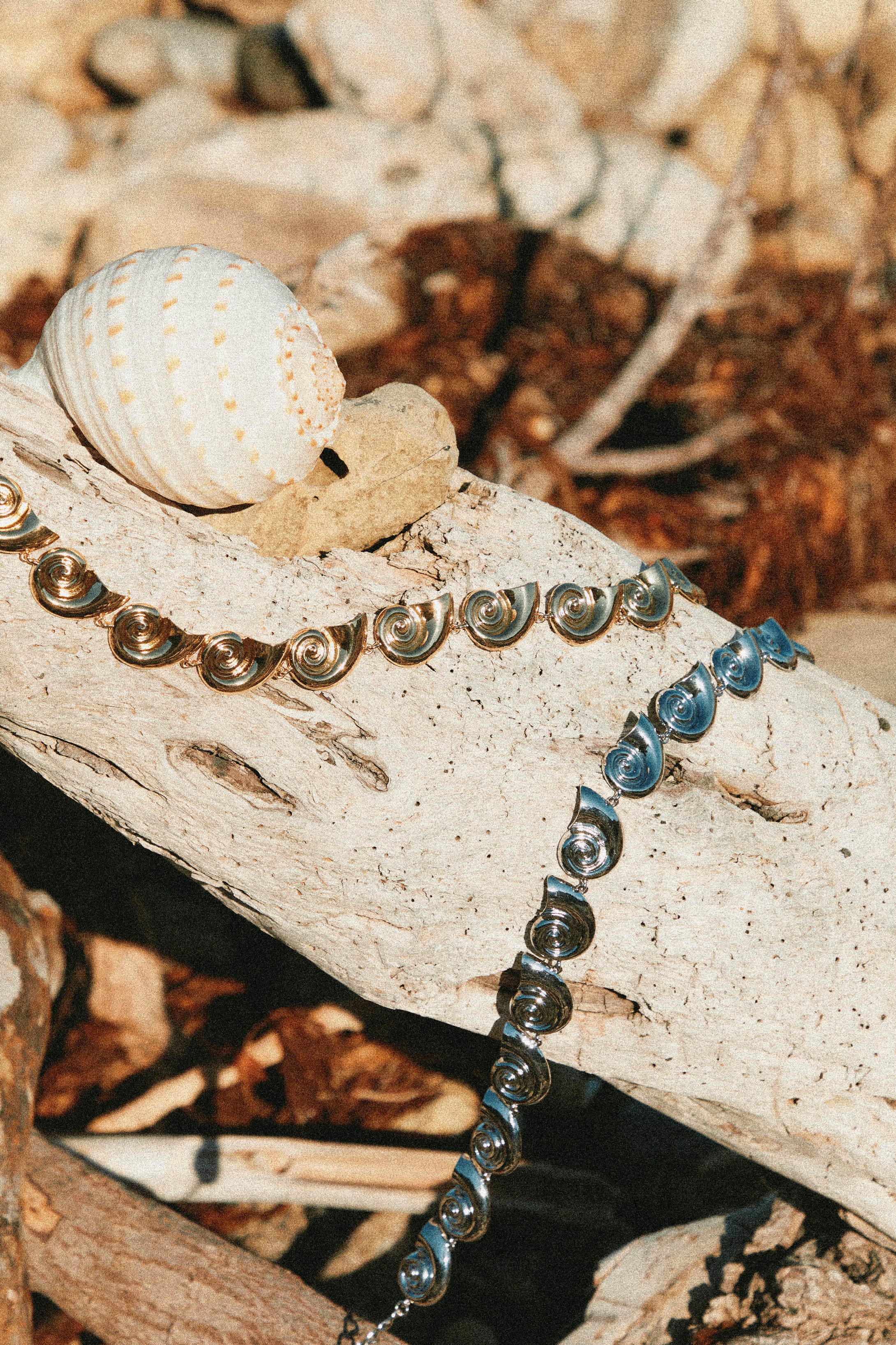 Leilani Sea Shell Chain Belt - Silver - Image 7